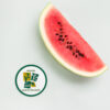 naturists for the earth embroidered patches - Image 3